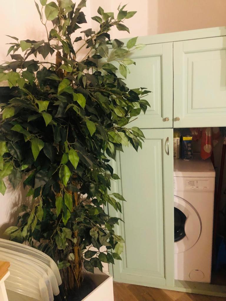 Charme Holidays Trastevere 罗马 外观 照片